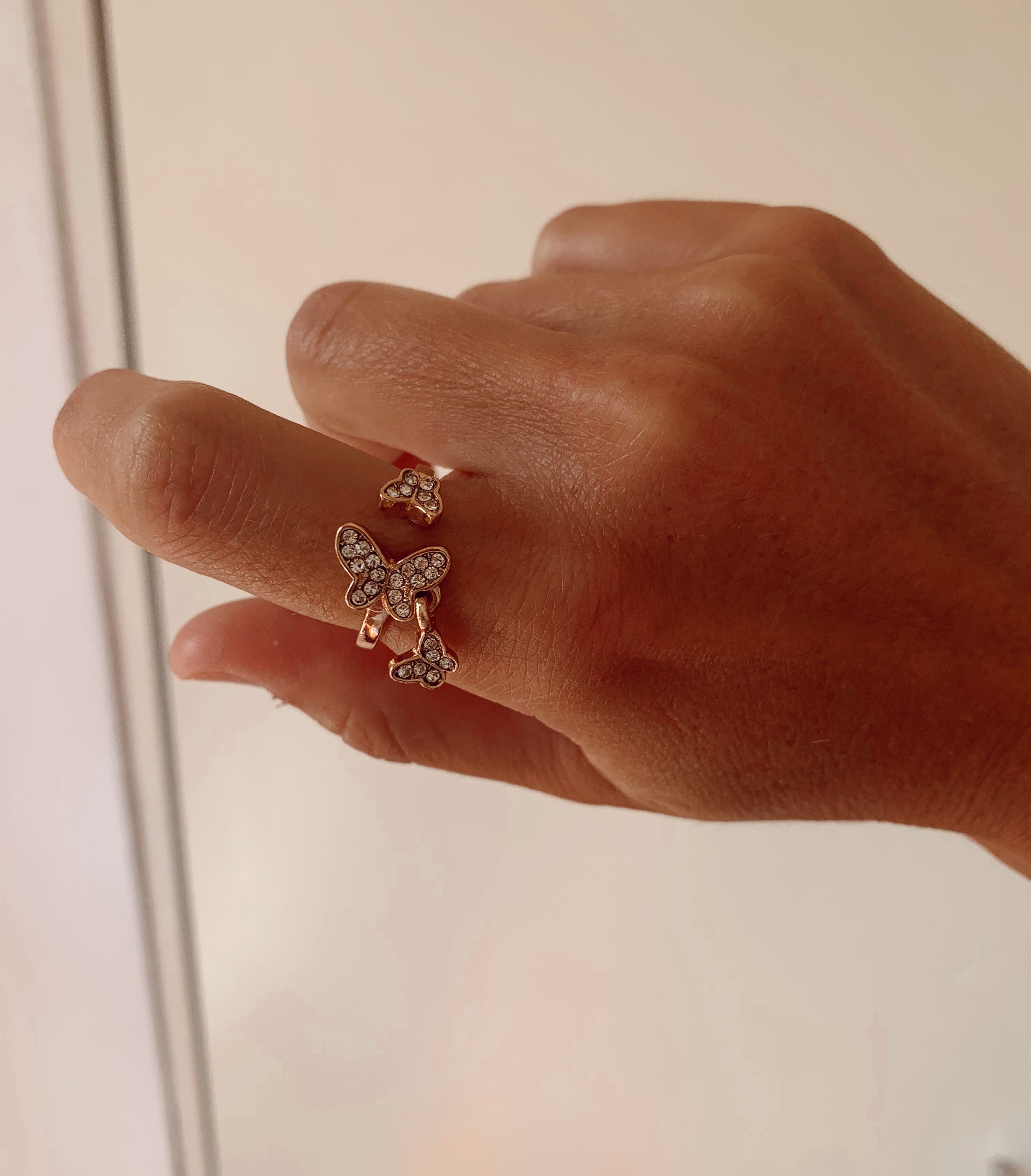 Anillos