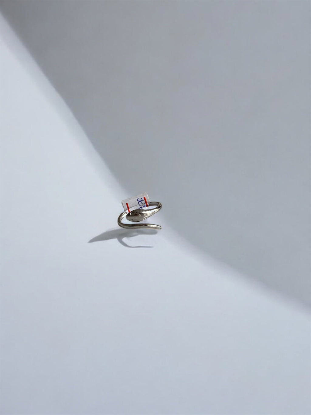 Anillo snake