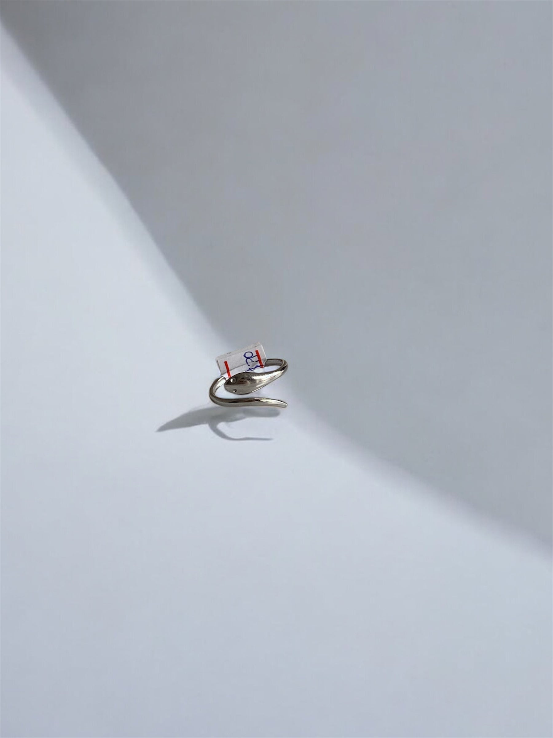 Anillo snake